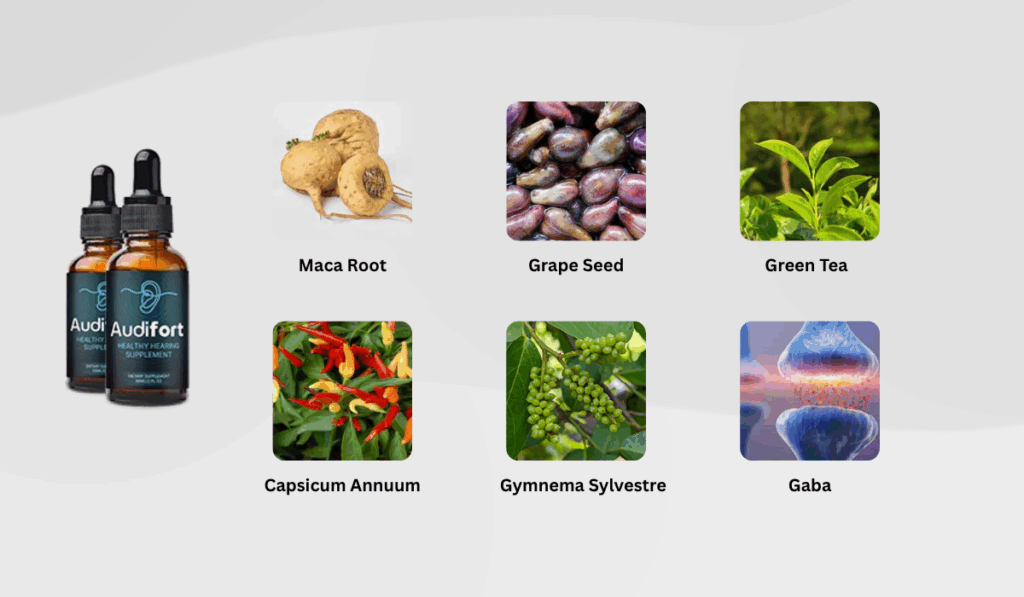 Top Brain and Hearing