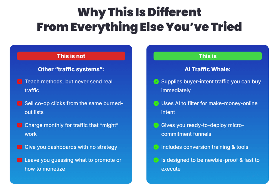 AI Traffic Whale traffic system,